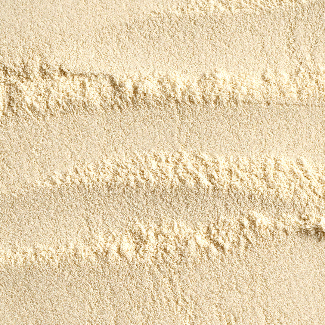 Bifidobacterium Lactis