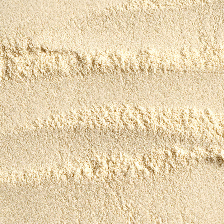 Bifidobacterium Lactis