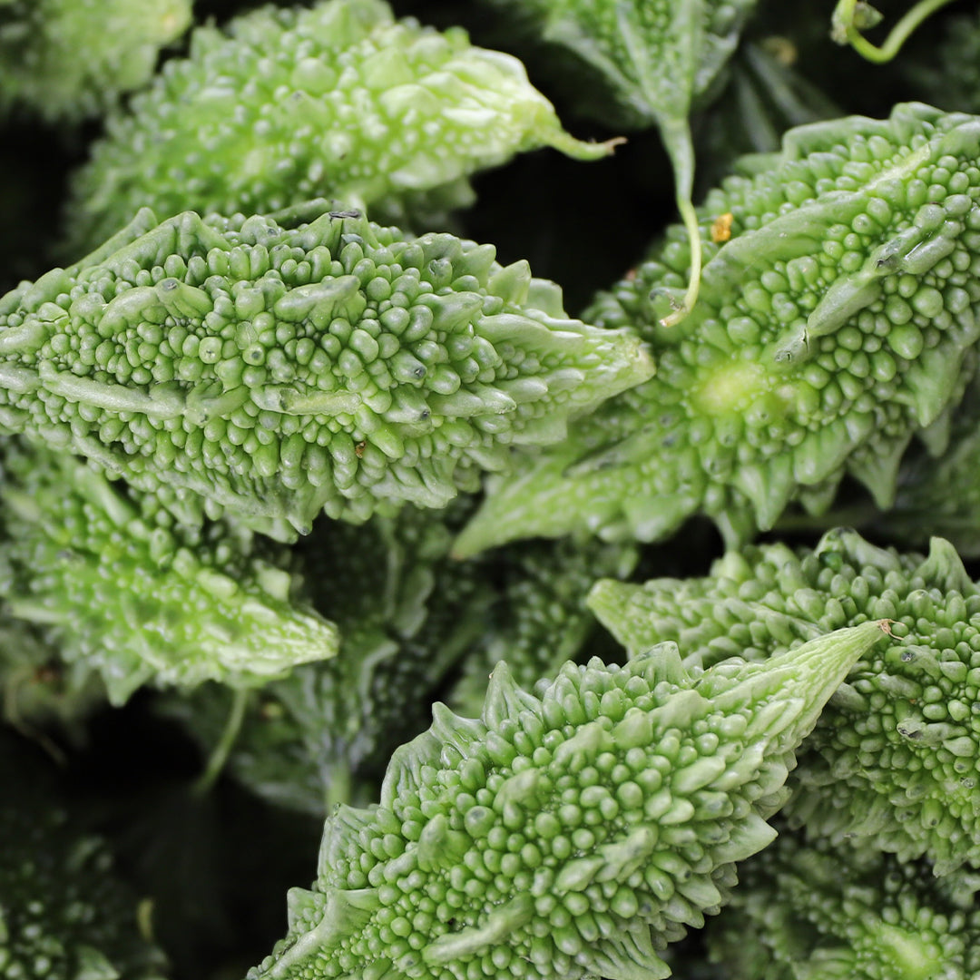 Bitter Melon (Momordica Charantia)