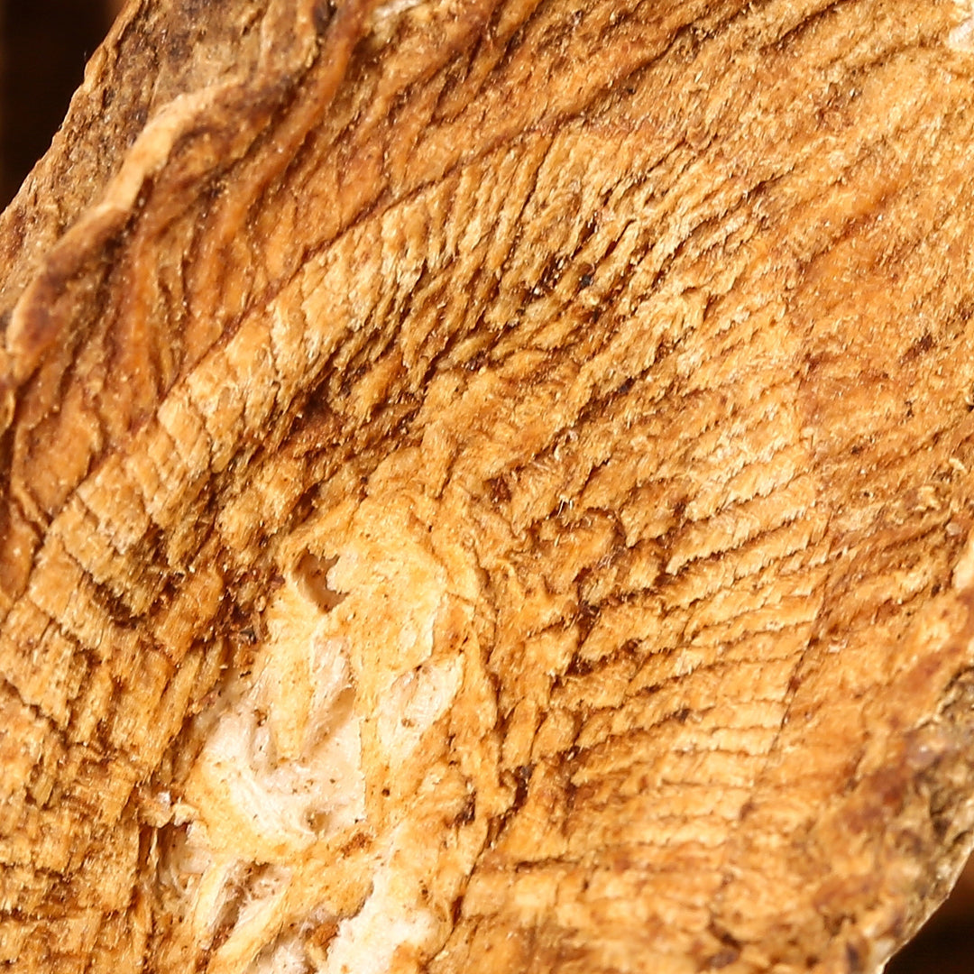Raíz de bardana (Arctium Lappa L.)