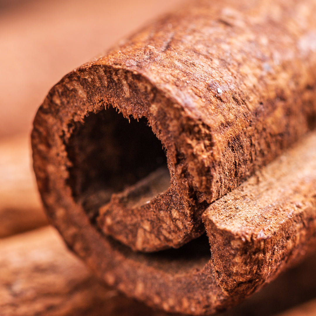 Ceylon Cinnamon Bark Extract (Cinnamomum Zeylanicum)