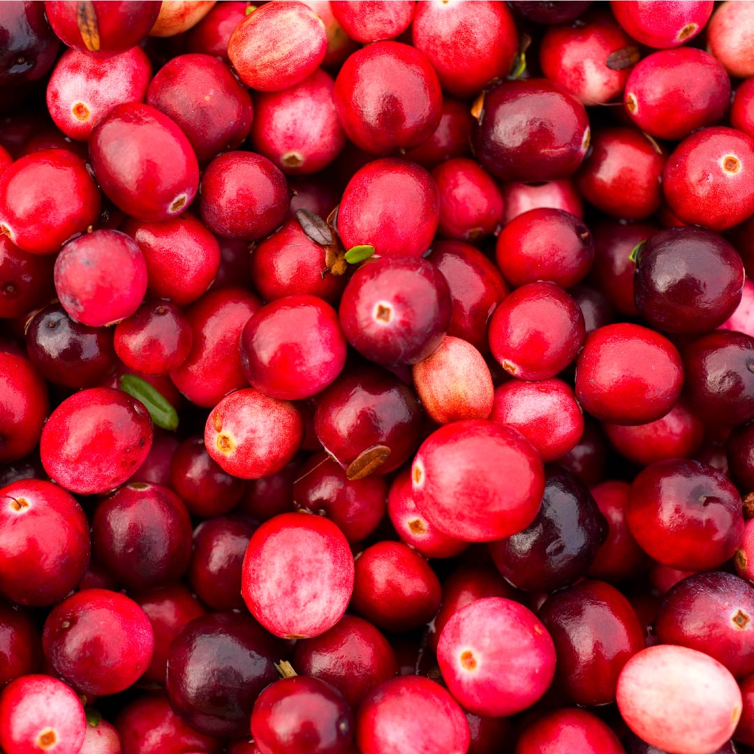 Cranberry (Vaccinium macrocarpon)