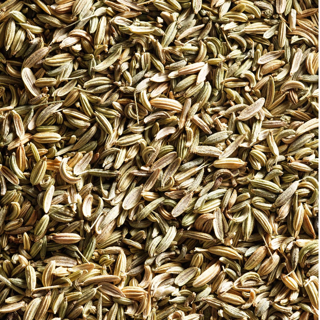 Extracto de semilla de hinojo (Foeniculum vulgare)