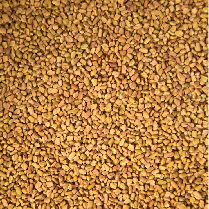 Fenugreek Seed