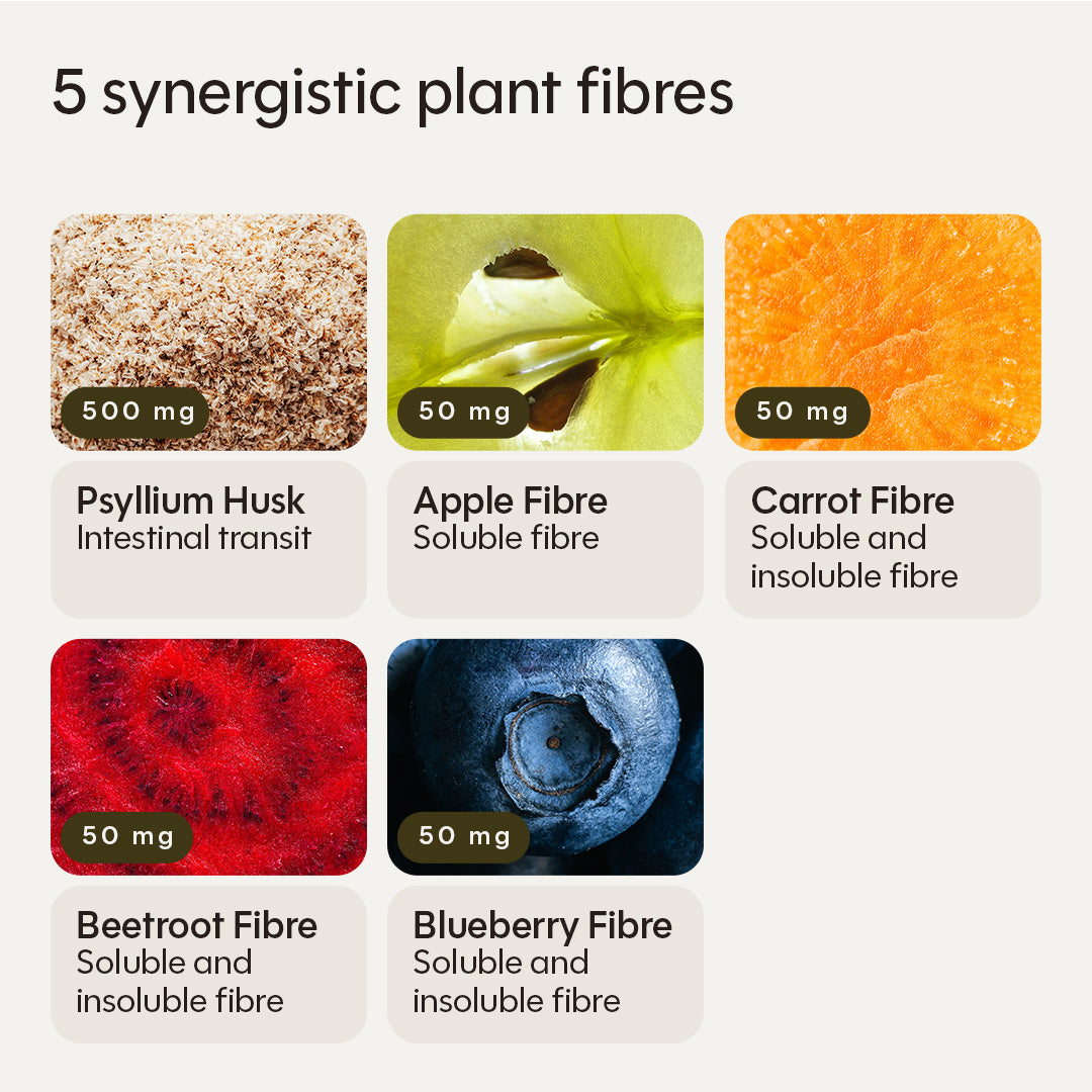 Fibre Complex
