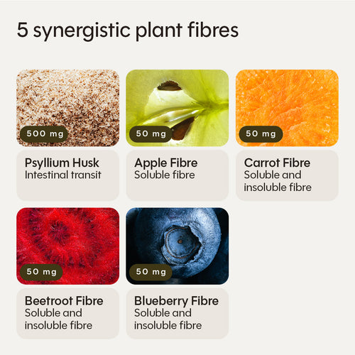Fibre Complex