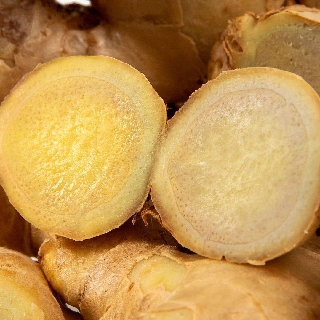 Raíz de jengibre (Zingiber officinale)