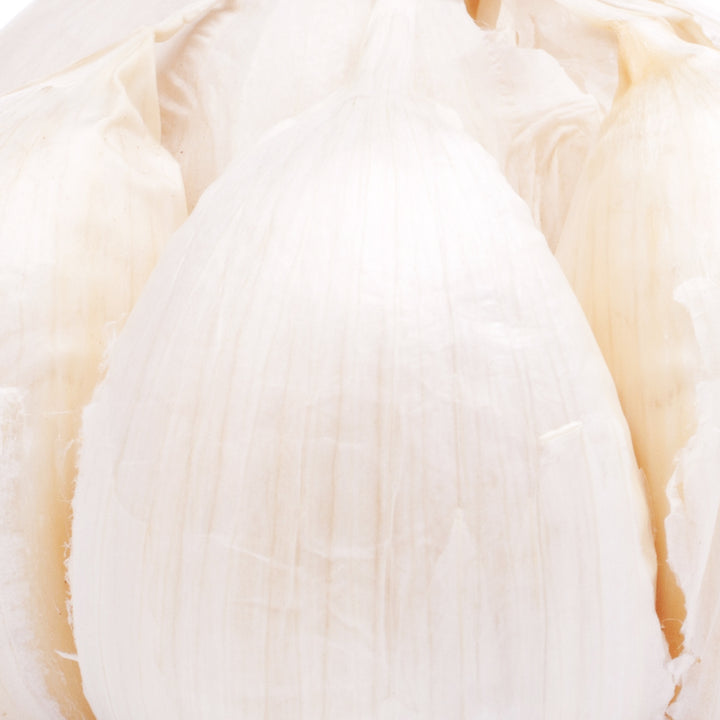 Inulin