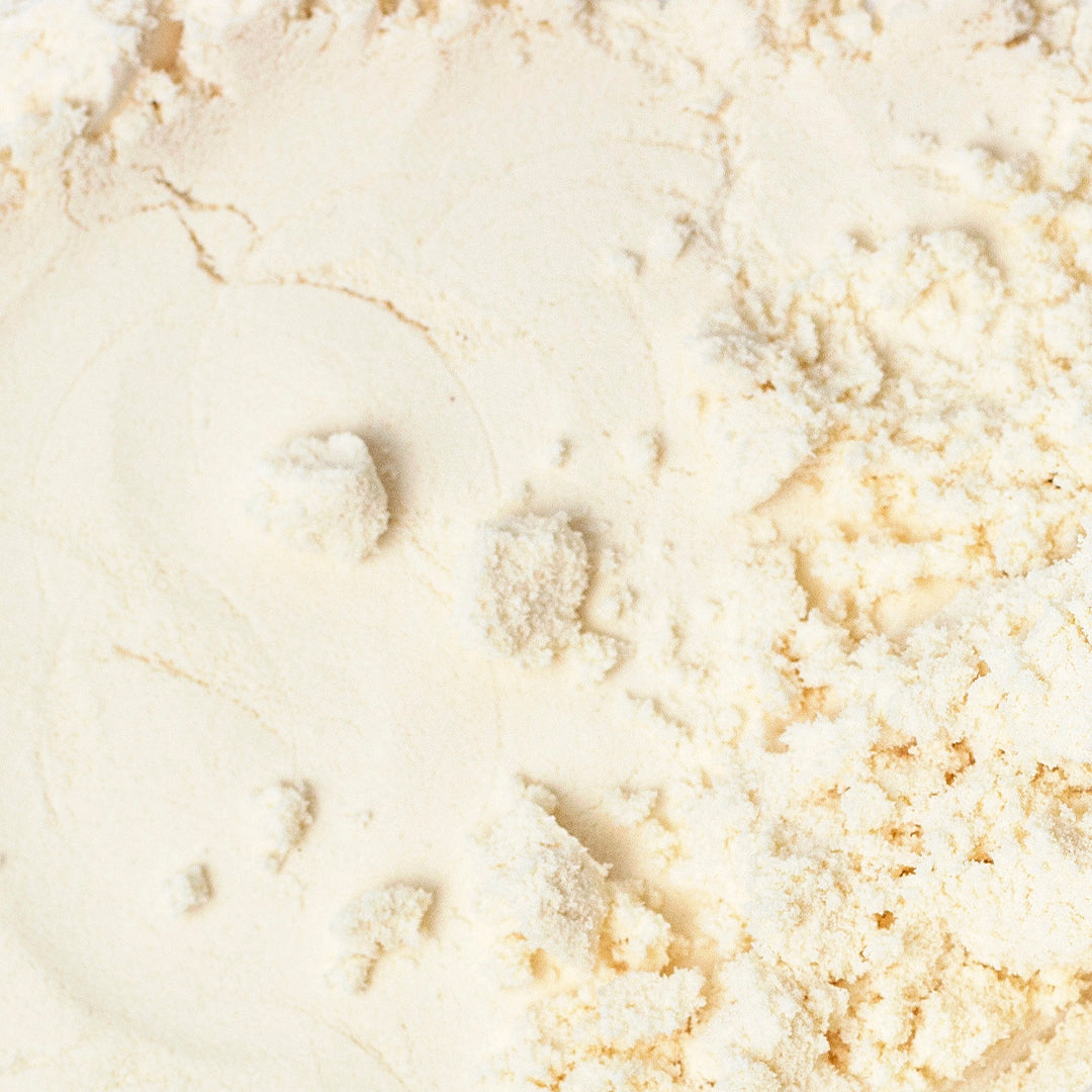 Lactobacillus Plantarum