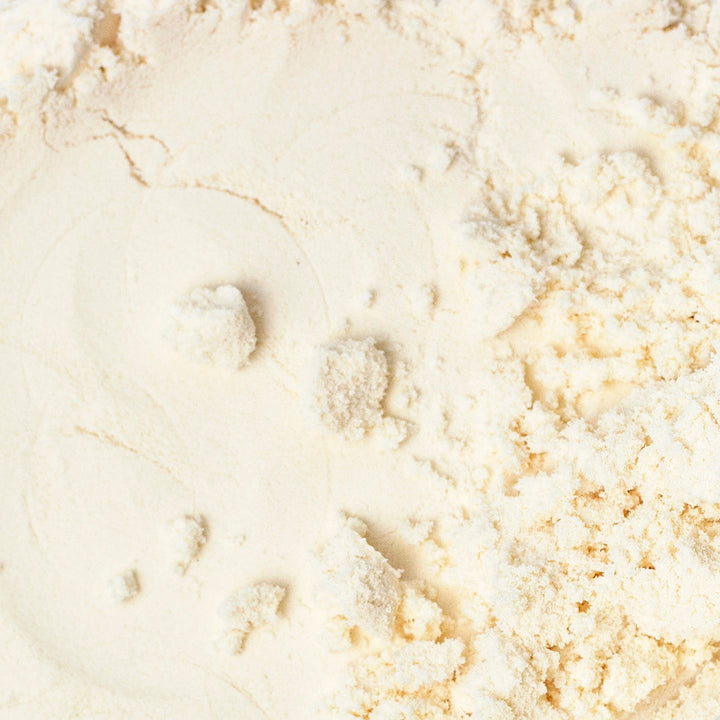 Lactobacillus Plantarum