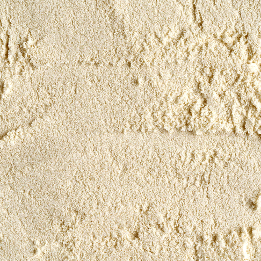 Lactobacillus reuteri