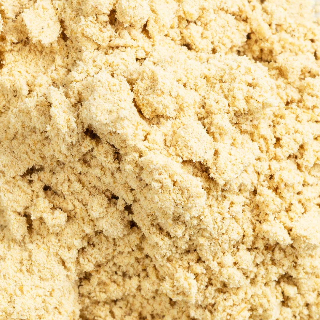 Lactobacillus Rhamnosus