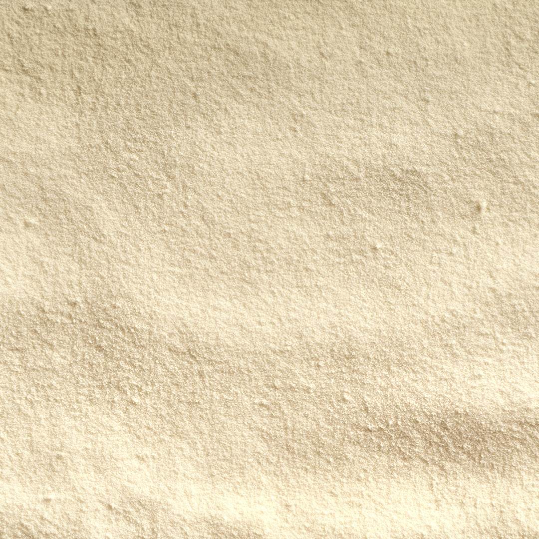 Lactobacillus Rhamnosus LGG