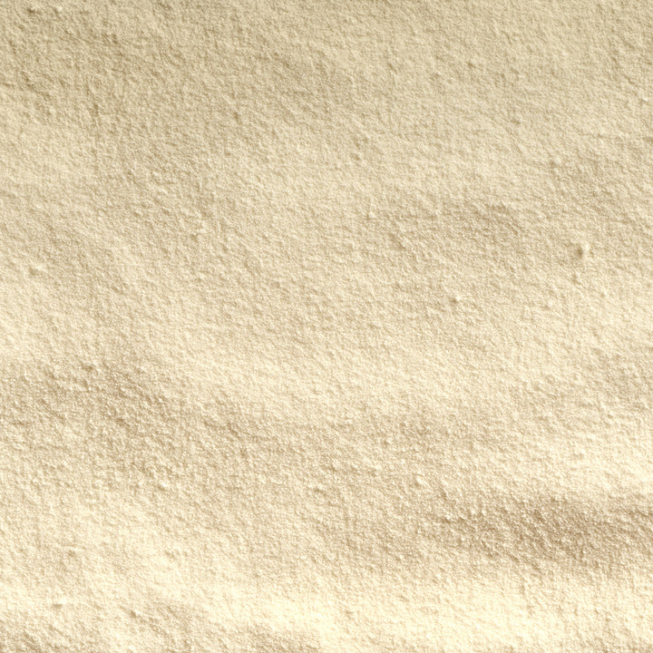 Lactobacillus Rhamnosus