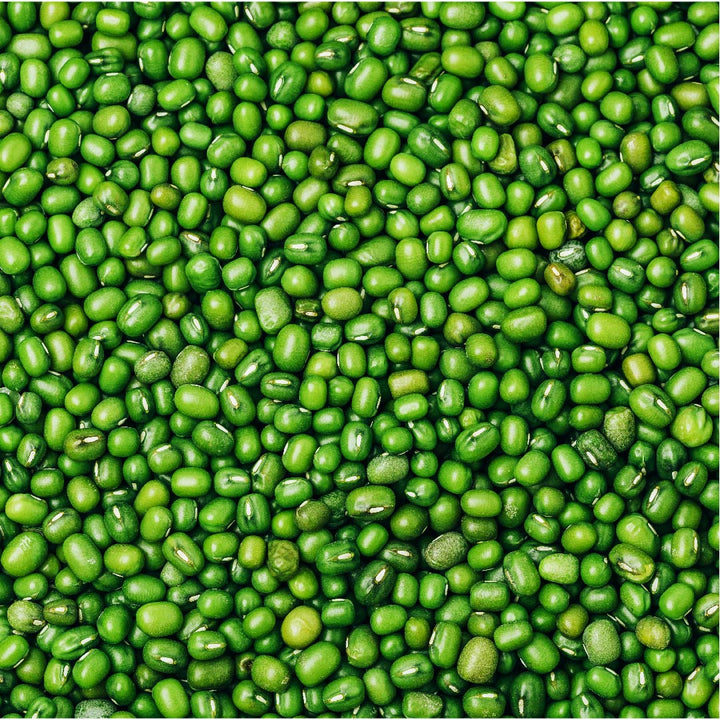 Mung Bean