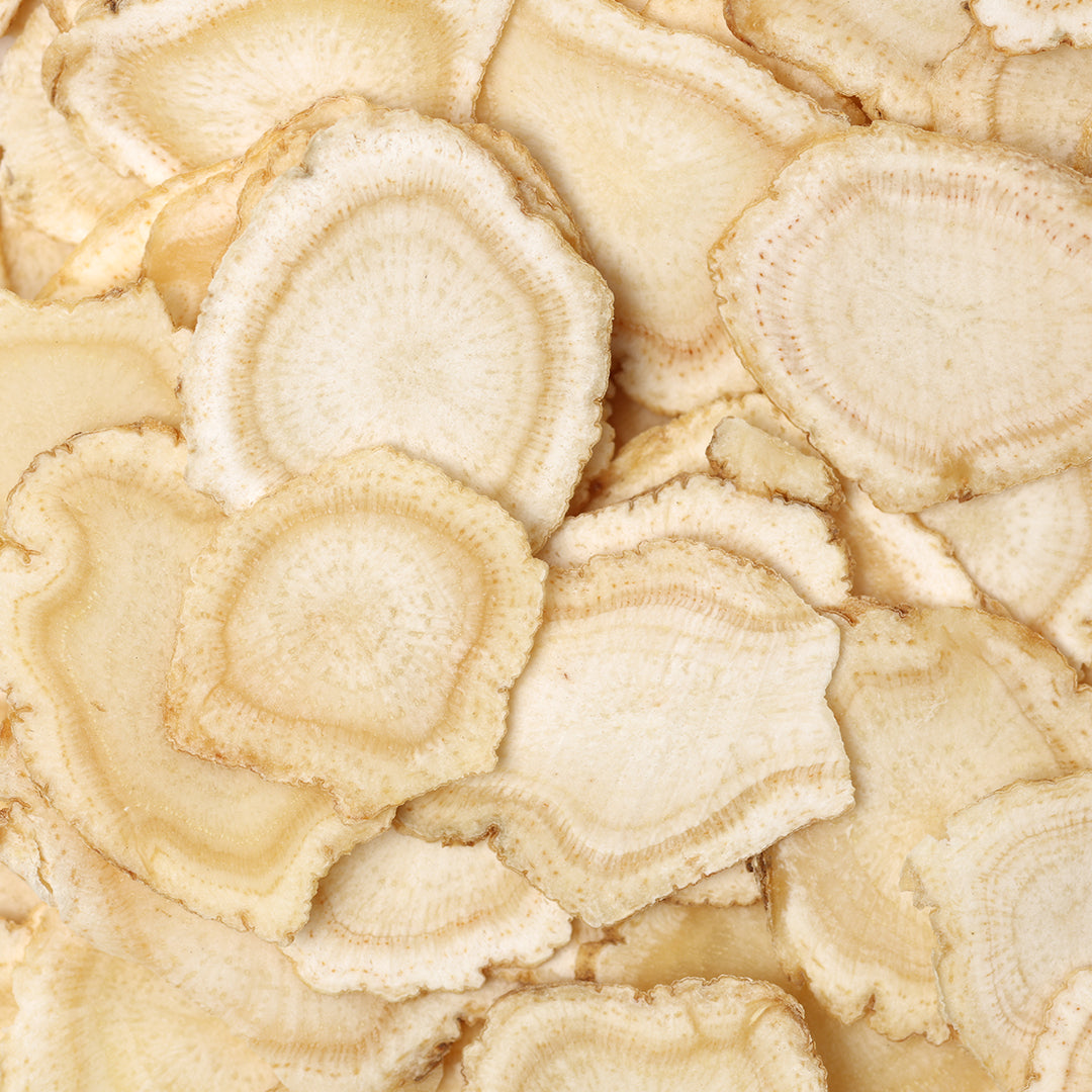 Panax Ginseng