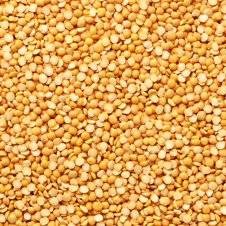 Pea Protein