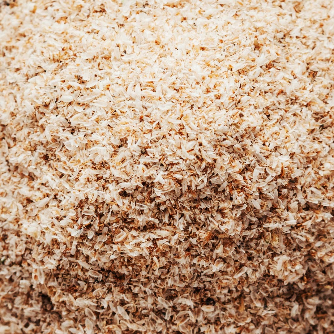 Psyllium Husk (Plantago ovata)