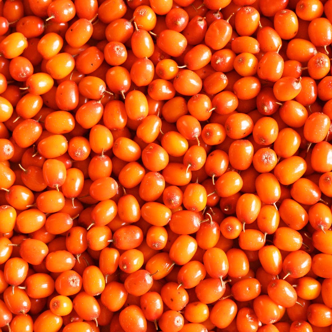 Espino amarillo