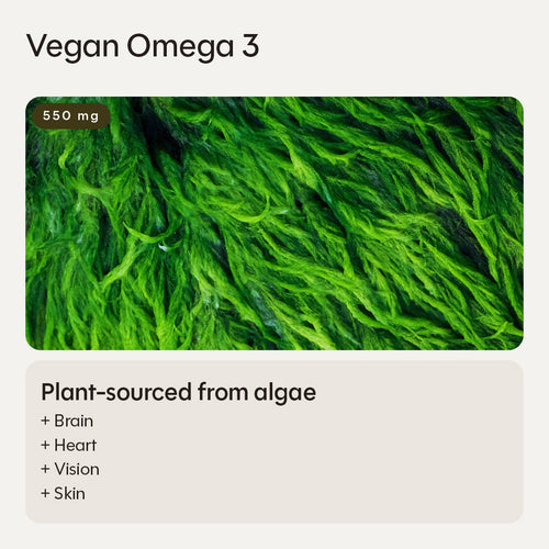 Vegan Omega 3