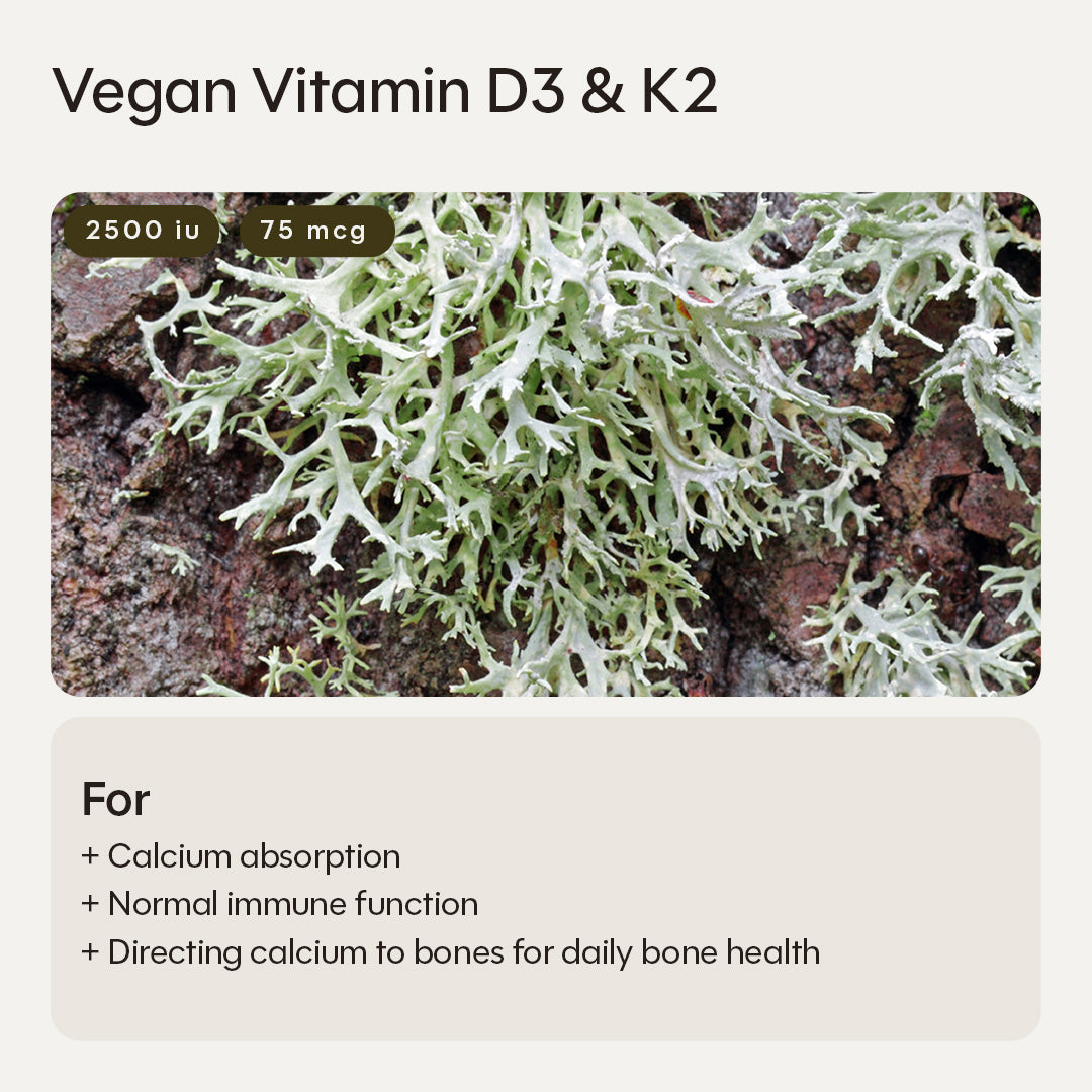 Pack de esenciales veganos