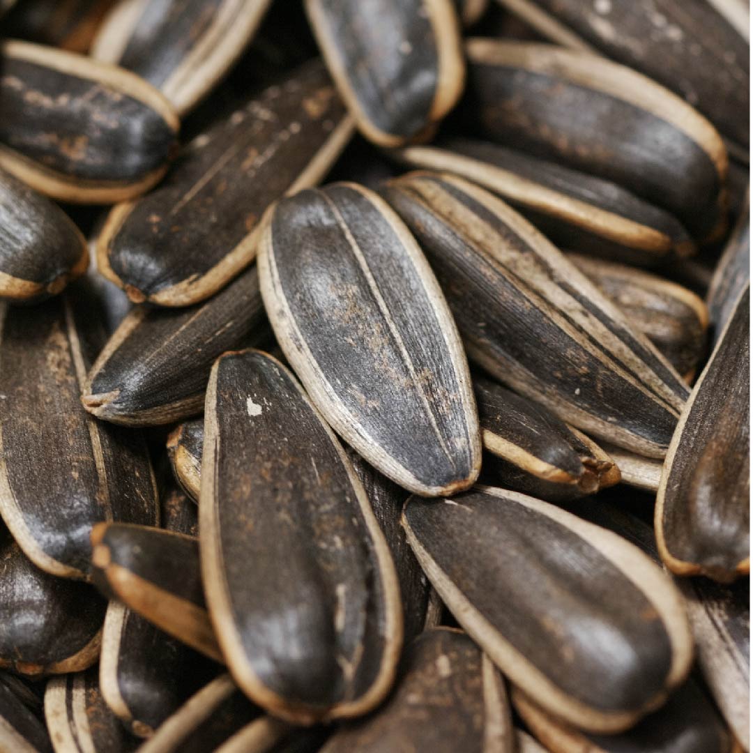 Vitamin E
