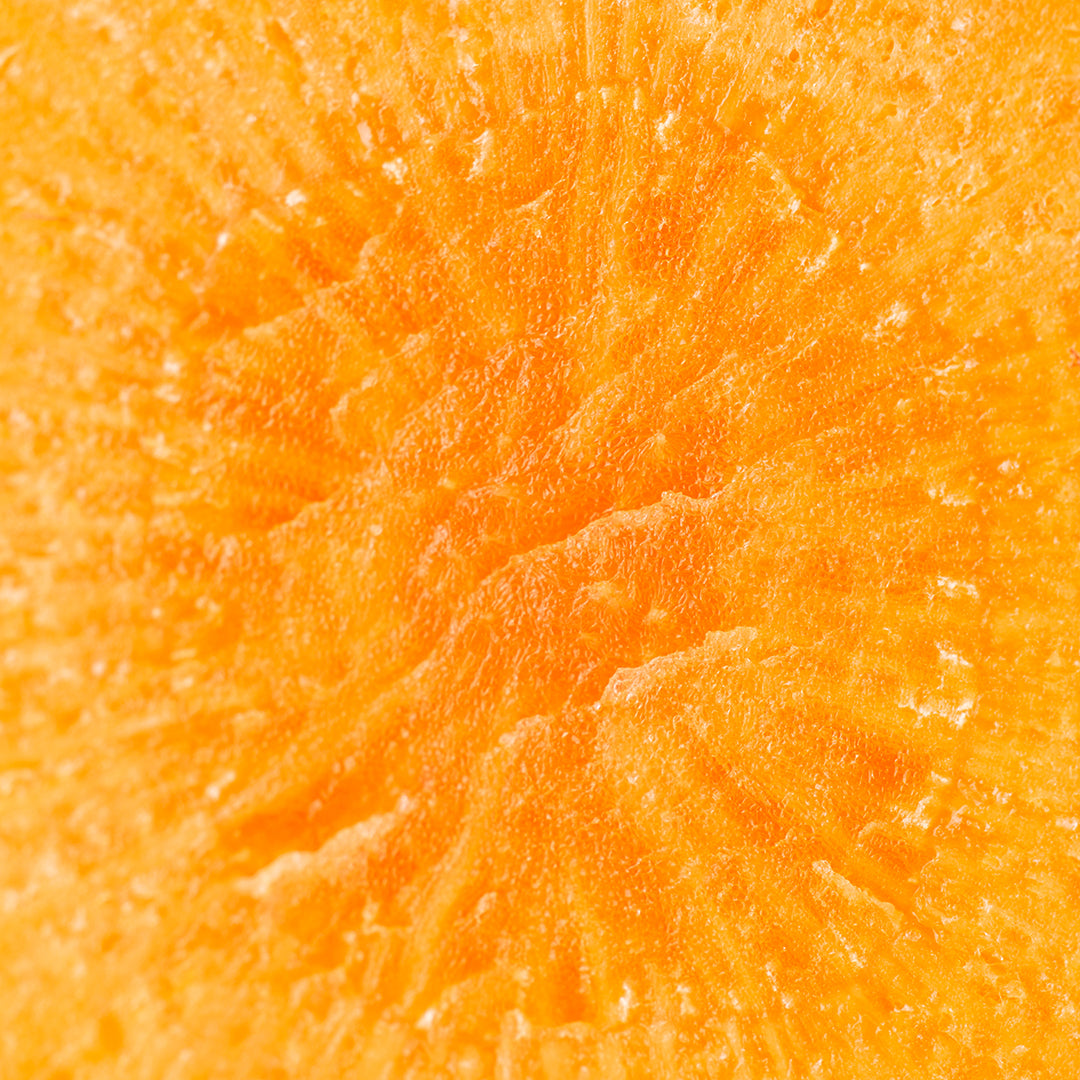 Carrot (Daucus carota)