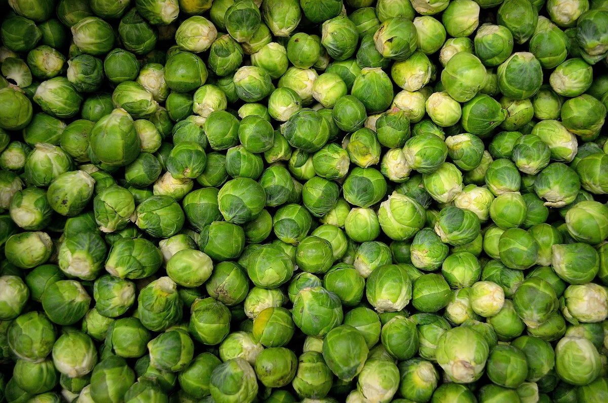 Folic Acid