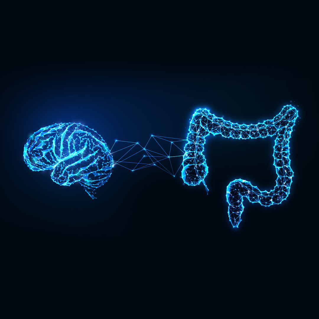 Por qué tu intestino es tu segundo cerebro