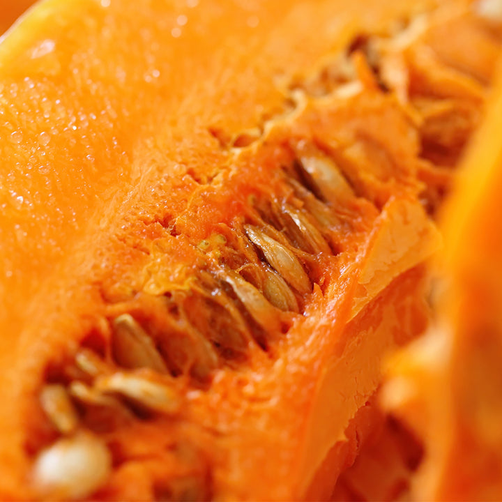 Pumpkin Seed Protein